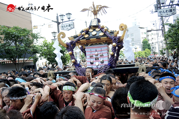 一之宮・本社神輿渡御〈浅草千和〉@2013.05.18