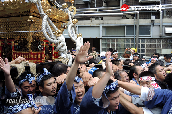 〈鳥越祭〉小島一・本社神輿渡御 @2014.06.08