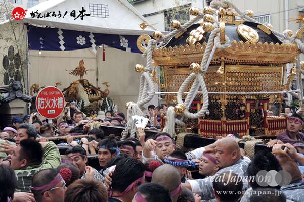 〈鳥越祭り〉北松山・本社神輿渡御 @2013.06.09