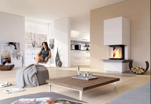 Kamin Camina S 12 hoch uvP ab € 9199,00 zzgl. Montage/Zubehör