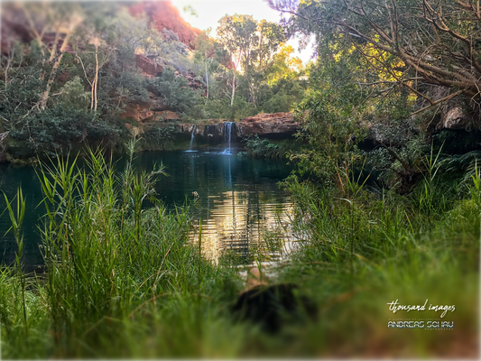 AUS, Dales Gorge im Karijini National Park 