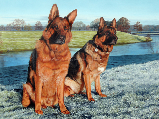 Ölgemälde Deutsche Schäferhunde auf Leinwand nach Fotovorlage