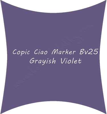 Bv25 Graysh Violet