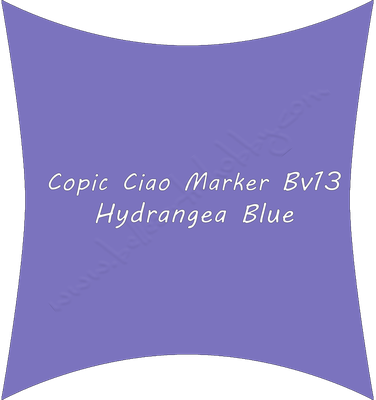 Bv13 Hydrangea Blue