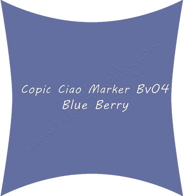Bv04 Blue Berry
