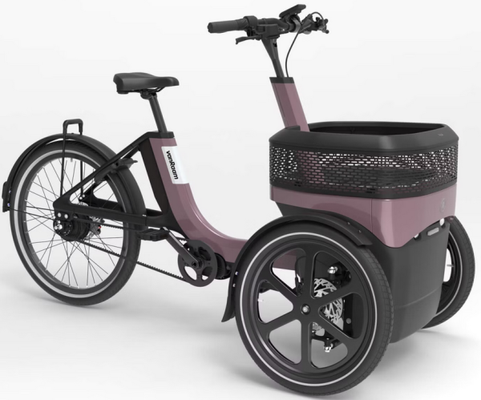 Cargo-Dreiradvelo Thuja