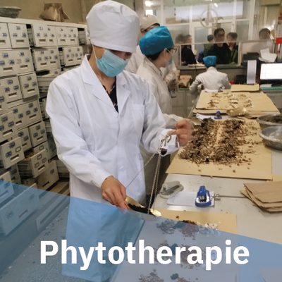 Phytotherapie