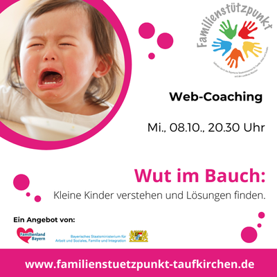 Hier geht es zum Angebot - Wut im Bauch