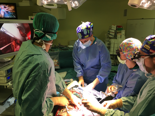 Cirugía cardiaca con control por Video Toracoscopia