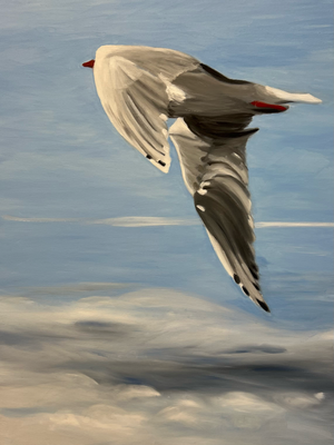 Lachmöwe, Oel auf Leinwand, 70x100 cm, 2025