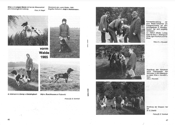 Bericht über die 39. vorm-Walde-Auslese 1985 aus dem VGM-Mitteilungsblatt Nr. 31 von Februar 1986