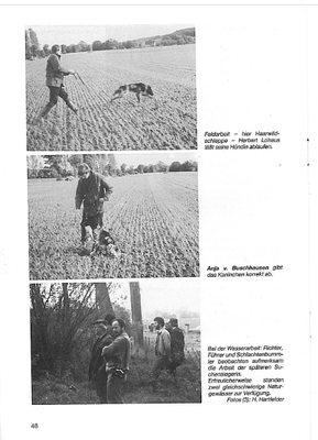 Bericht über die 39. vorm-Walde-Auslese 1985 aus dem VGM-Mitteilungsblatt Nr. 31 von Februar 1986