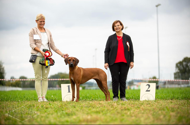 Jara siegt in der Zwischenklasse, V1 CAC