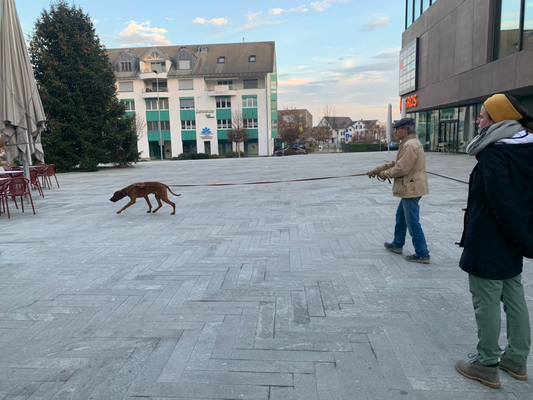 Chandu und Peter in der Stadt