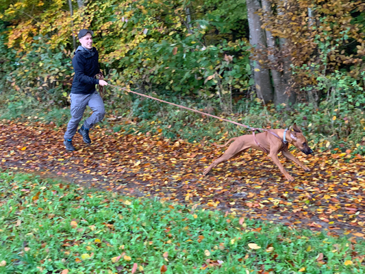 Kali im Flug :-)