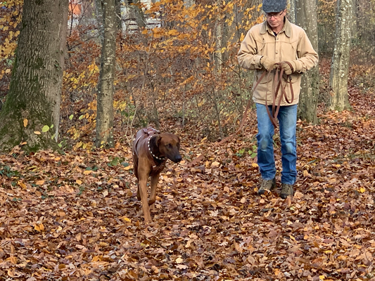 Chandu und Peter unterwegs