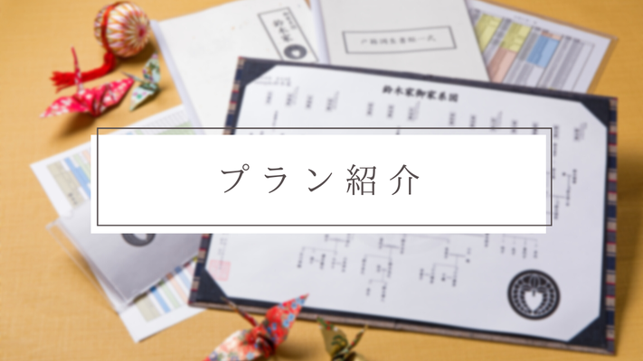 プラン紹介