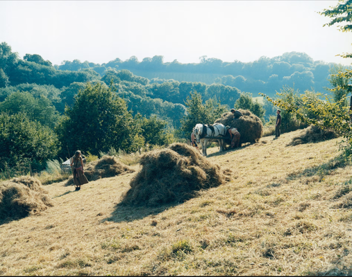 Settlements. David Spero