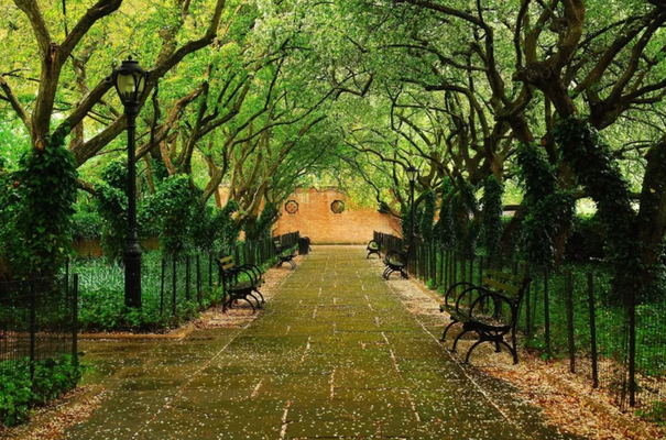 Central Park New York. Istock Royalty Free