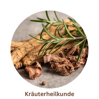 Kräuterheilkunde