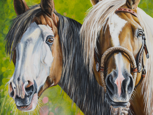 Westernpferde Detail Bosal