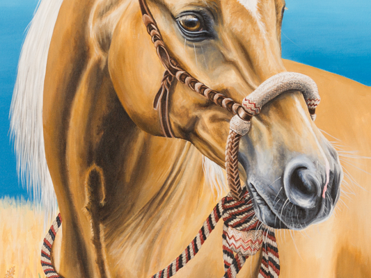 Details Bosal Acryl