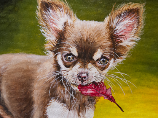 Chihuahua Kopf Details Acryl