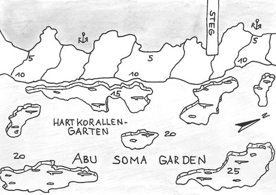 Abu Soma Garden, Korallengarten, viele Riesenmuränen