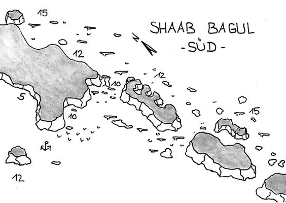 Shab Bagul, Cannon Reef, Hafennähe, Delphine, Safaga