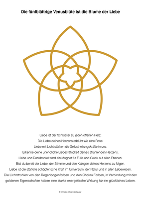Die Venusblume