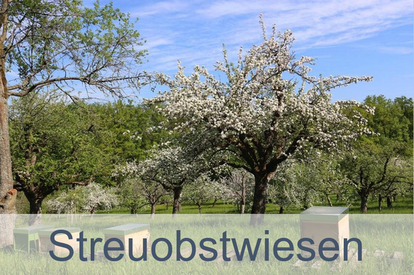 Streuobwiese