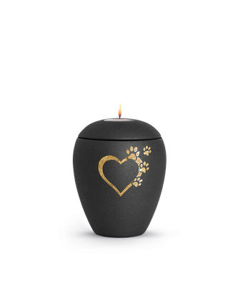 Edition Verona, velvet schwarz, Sparkling Star Herz mit Pfoten in gold 0,5 l = 128,00 € und 1,5 l = 148,00 € mit Teelichteinsatz