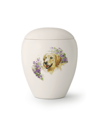 Edition Bianco, matt-weiß glasiert, Motiv Golden Retriever von Hand bemalt 2,8 L = 178,00 €