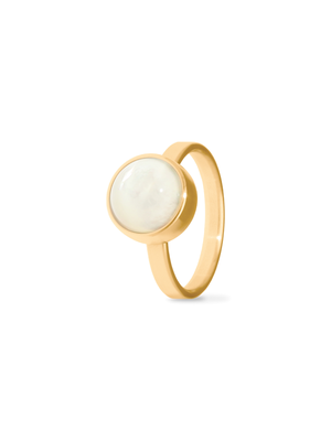 Gemstone -Edelstahl mit Vergoldung mit einem befüllbaren Edelstein , Durchmesser 10 mm -249,00 €
