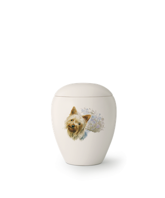 Edition Bianco, matt-weiß glasiert, Motiv Yorkshire Terrier von Hand bemalt 0,5l = 138,00 €