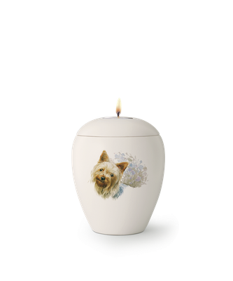 Edition Bianco, matt-weiß glasiert, Motiv Yorkshire Terrier von Hand bemalt 0,5l mit Teelichteinsatz = 148,00 €