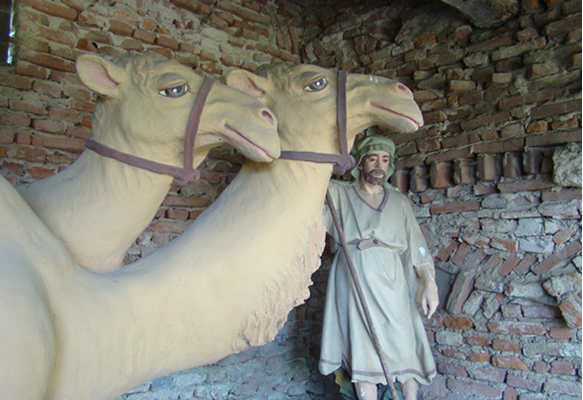 Cammelli e cammelliere