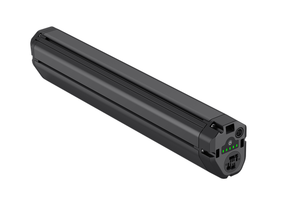 Panasonic GXM Batterie 600 & 800 (TBD) wH ©