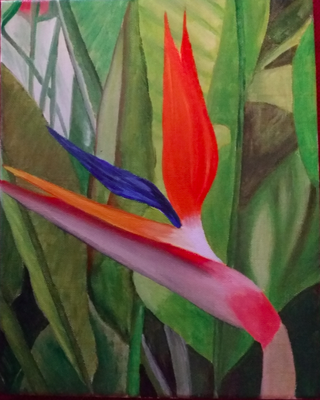 Ölbild, Strelitzien, 2015