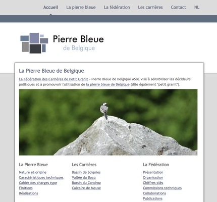 federationpierrebleue.be
