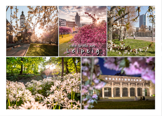 Postkarte Leipzig Frühling