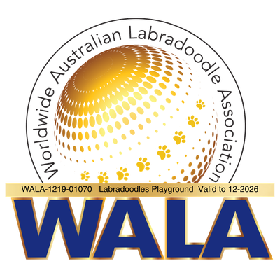 https://www.walalabradoodles.org/