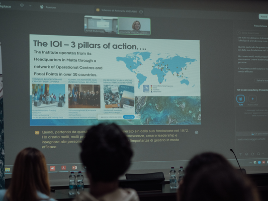 Presentation by Antonella Vassallo at launch event