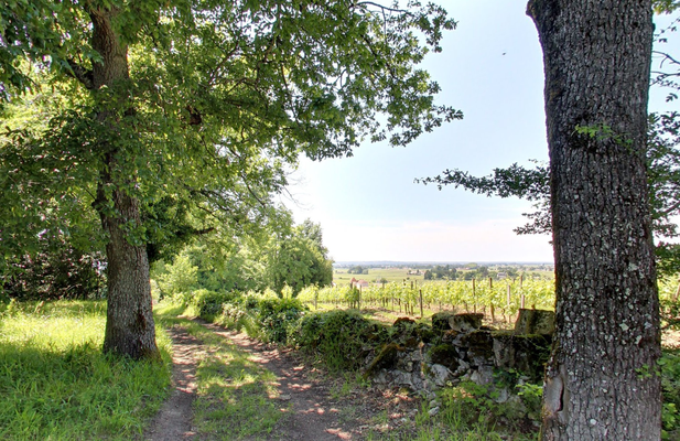 Chateau-Coutet-Saint-Emilion