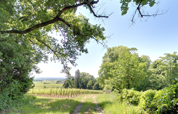 Chateau-Coutet-Saint-Emilion