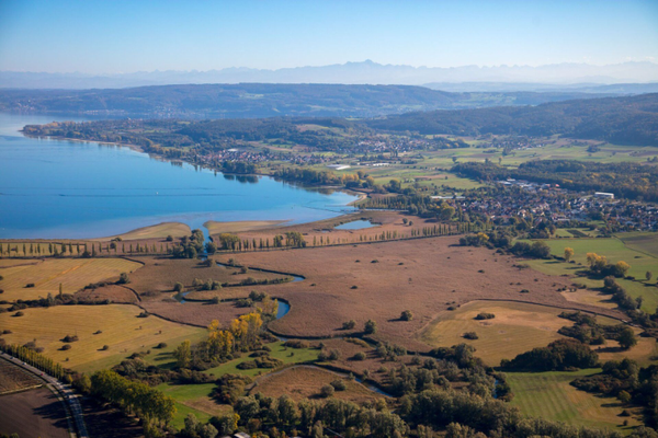 Blick auf Untersee und Mooser Allee © Regio e.V. Westlicher Bodensee