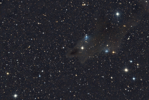LDN 1235 - Shark Nebula - 05/2024