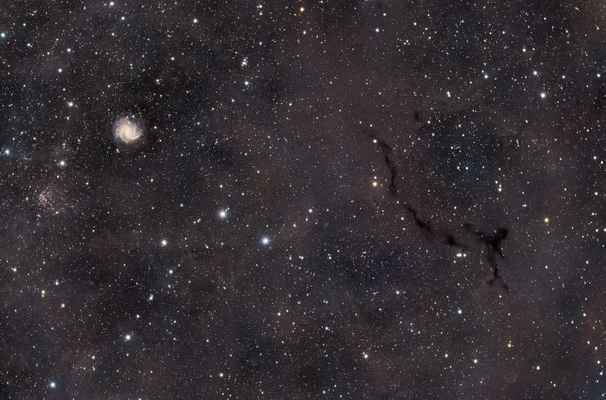 LDN 1082 Seahorse Nebula - 11/2023
