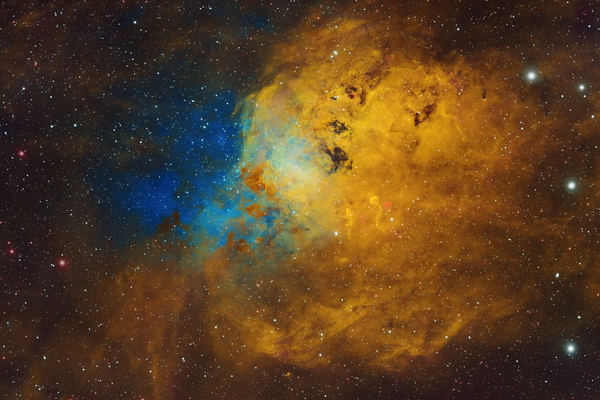 IC 410 The Tadpoles - 01/01/2022