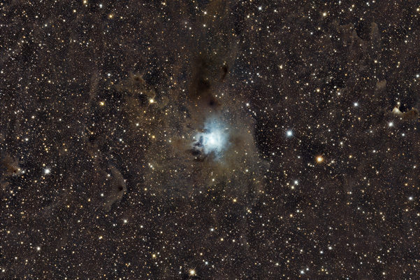 NGC 7023 - Iris Nebula - 5/2024 - First Light Epsilon 130D